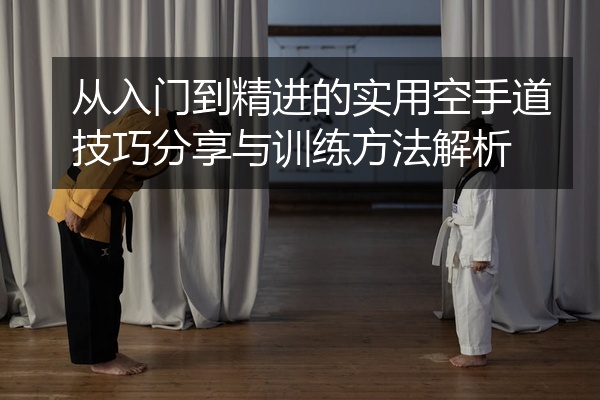 从入门到精进的实用空手道技巧分享与训练方法解析