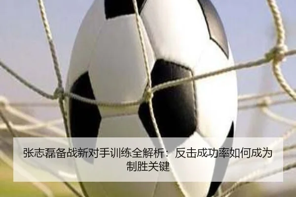 张志磊备战新对手训练全解析：反击成功率如何成为制胜关键
